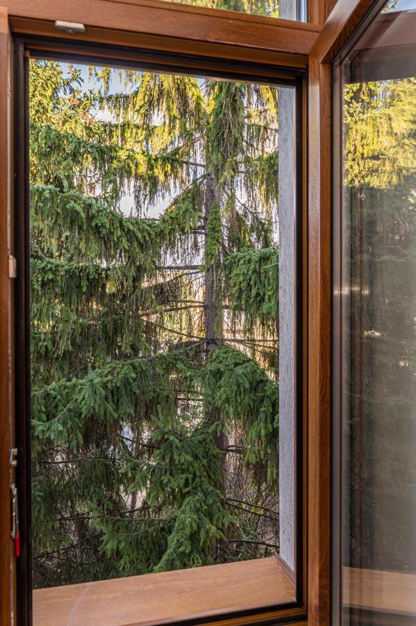 Chic&View Brasov Apartment Екстериор снимка