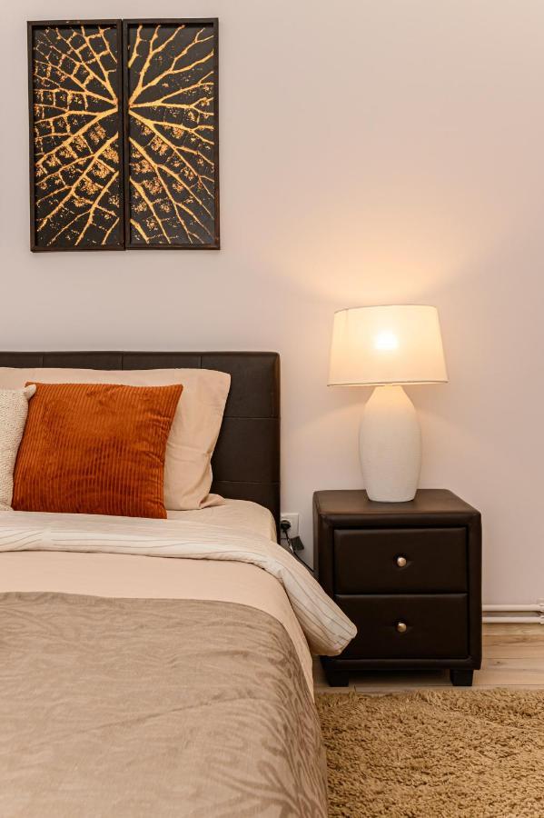 Chic&View Brasov Apartment Екстериор снимка